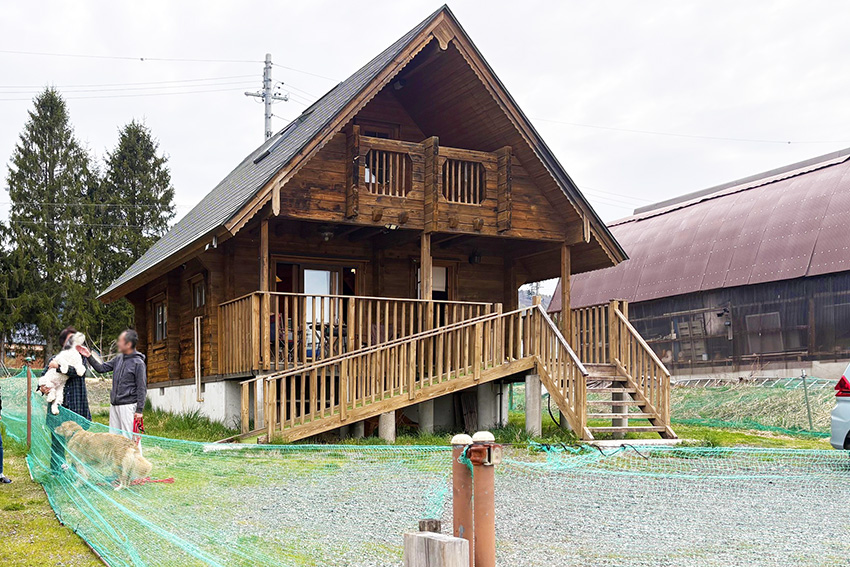 hirugano_b (6) - コピー.jpg